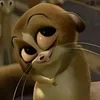 OtterVydra