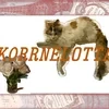 K0RRNEL0TTA