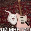 чиречия величайшая