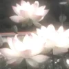 tsukii00