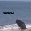 Шрекообразная