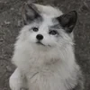 серебрянкаа
