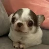 kakyliasha