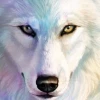 Foxkeen