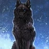 black Wolt