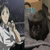 ka.chan.
