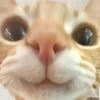 Kyuk