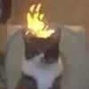 Вики_которая_пишет