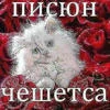 Нига67кга