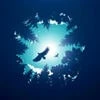 Алекс Центурион Старший7