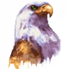 voravor27