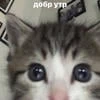 Джайзек_Эстебан_Картошка