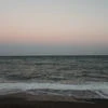 Диего Хосе Франсиско де Паула Хуан Непомусено Мари