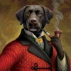 MrDog