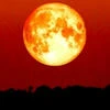 Scarlet_moonrise