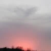 Пельмень С Голубикой