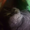 Фрунин_Ластик