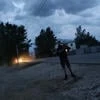 Петр Кривошеев