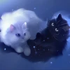 Аксолотня12