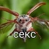 деревенщина с мармеладом