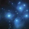 Alcyone Lestrange