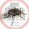 Токсичная Муха