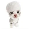 cottka