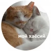 Living_corpse13