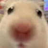 butterl