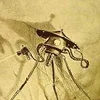 Trypod