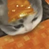 fiery-orange_feather