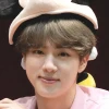 Bangtanisa