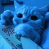 Milena._544