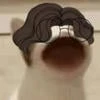 Klozer Pinem