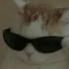 Ляьяьядвдыьвьвь