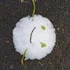 KrovatGitllerra