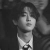 squnut.ssi