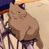 moon_bakeneko