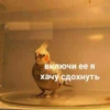 ayvozovskiy
