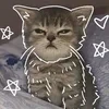 Кассандра А.