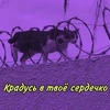 я так хочу вернуться в май
