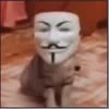 Вару_Пик