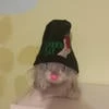 Pigiril