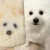 Девочка из крана