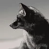 Magic FOX_1984