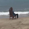 Твоя любимая Лаванда