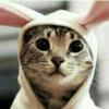 _КОТЛЕТО4КА_