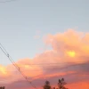 Mira15